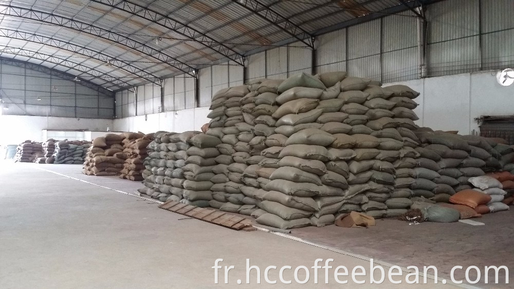 Grains de café verts crus chinois, type 100% arabica, emballage de sacs de jute